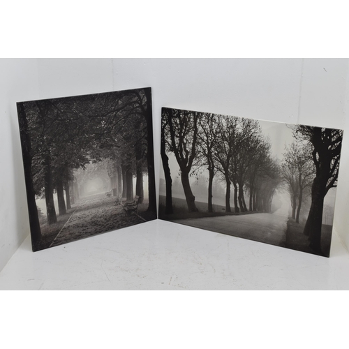 587 - Two LARGE Canvas Prints Depicting Black and White Misty Morning Scenes Largest 46