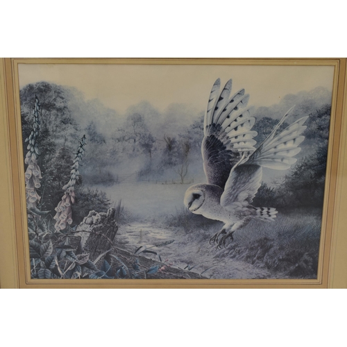 637 - Mixed Lot of Framed Pictures to include a print on Board of The visitor by Arthur Hopkins and a Owl ... 