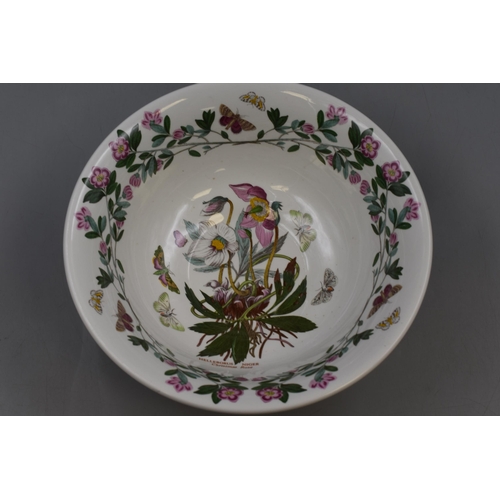 225 - The Botanics Garden Ceramic Bowl Depicting Christmas Rose 11