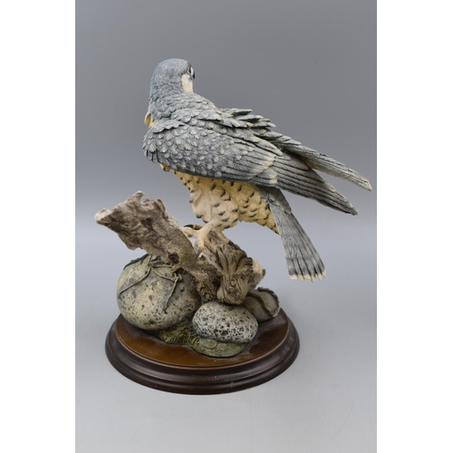 250 - Hand Painted Hand Crafted Peregrine Falcon on Driftwood on Wood Base approx 11