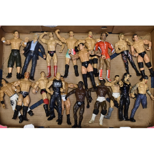 430 - Selection of 19 WWE Jakks Pacific Wrestling Figures