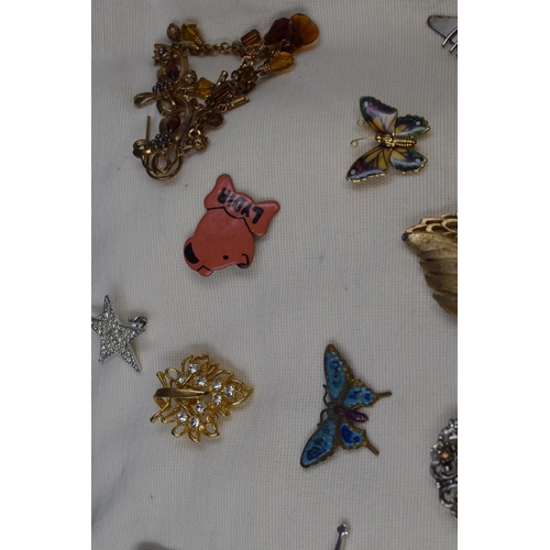 463 - Selection of Various Brooches on Display Cushion