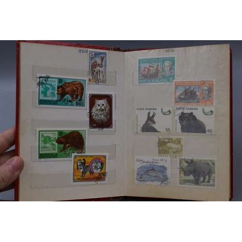 508 - Three Stock Albums Containing Mixed Stamps From South Africa, Ceylon and More