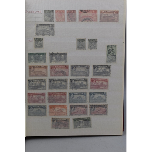 510 - Two Stock Albums Containing a Selection of Commonwealth Stamps  including Malaya, North Borneo, Gibr... 