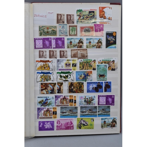 511 - Three Stock Albums Containing a Large Selection of Commonwealth Stamps including Gold Coast, Grenada... 