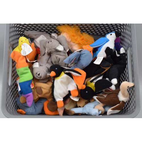 529 - Large Selection (26) of TY Teenie Beanie Babies