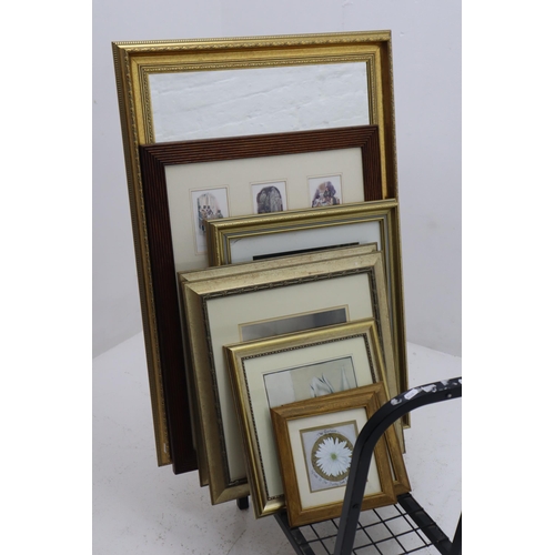 622 - Picture Rack containing Gilt Framed Mirror and a selection of framed and glazed prints (rack not inc... 