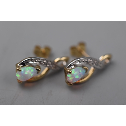 1 - Pair of 9 (375) Carat Gold Earrings With Opal Stone