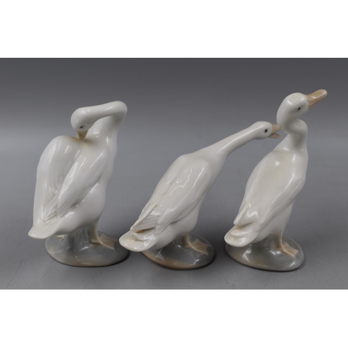 312 - Set of 3 Lladro Fine Porcelain Ducks (Numbers 4551, 4552, 4553)