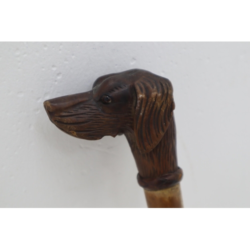 347 - Vintage Walking Stick with dog head Handle (80cm)