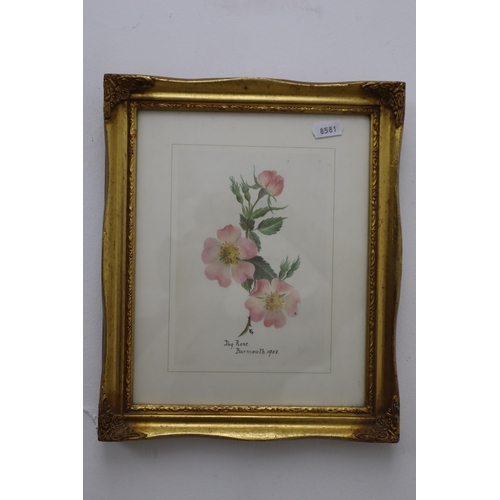 406 - Mixed Lot of Nicely Framed and Glazed Prints Depicting Flowers by Artist Barry Whitaker, and others ... 