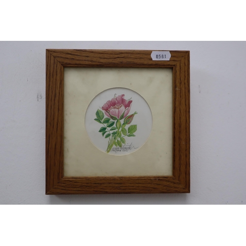 406 - Mixed Lot of Nicely Framed and Glazed Prints Depicting Flowers by Artist Barry Whitaker, and others ... 