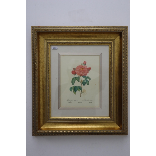 406 - Mixed Lot of Nicely Framed and Glazed Prints Depicting Flowers by Artist Barry Whitaker, and others ... 