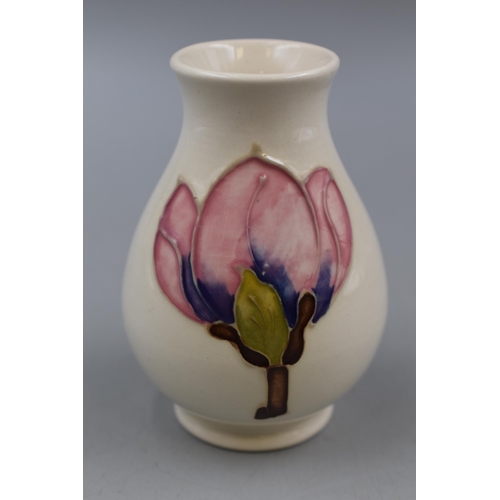 316 - Vintage Moorcroft Magnolia Vase 4