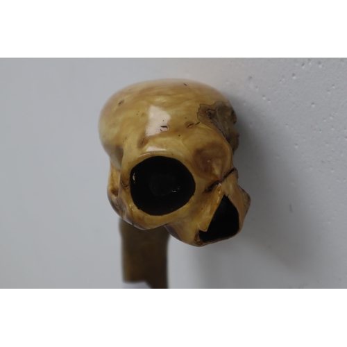 299 - Hand Carved Skull Head natural Wood Walking Stick 34