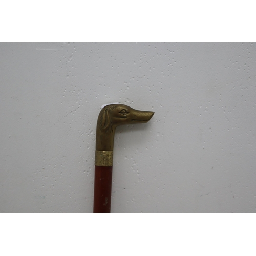 301 - Wooden Walking Cane With Brass Dog Head approx 35