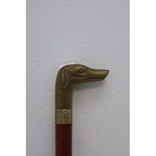 301 - Wooden Walking Cane With Brass Dog Head approx 35