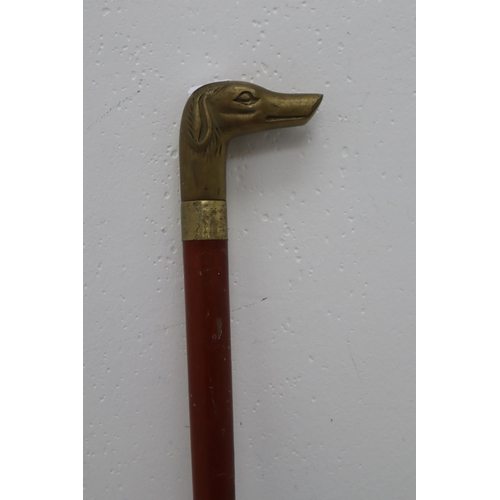 301 - Wooden Walking Cane With Brass Dog Head approx 35