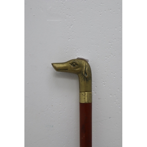 301 - Wooden Walking Cane With Brass Dog Head approx 35