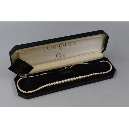 67 - Sterling Silver Pearl Necklace In Box (NOT original Box)