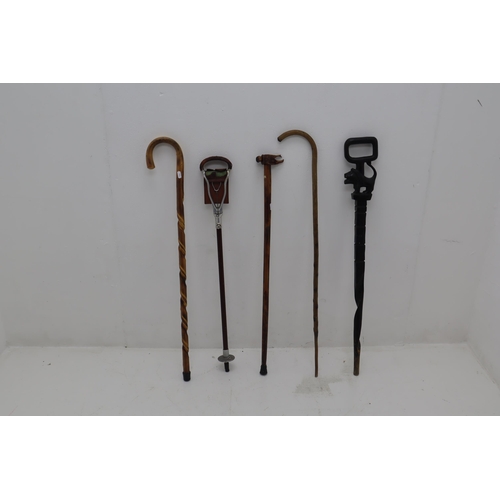 401 - A Selection of four Walking Sticks and A Shooting Stick. Includes Carved Eagle, Lion and Others.