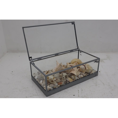 407 - Glass Display Case with Top Opening and Aluminium Framework filled with Real Skulls and Natural Sea ... 