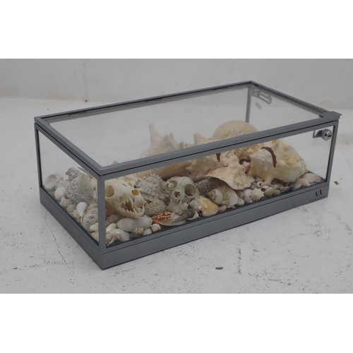 407 - Glass Display Case with Top Opening and Aluminium Framework filled with Real Skulls and Natural Sea ... 