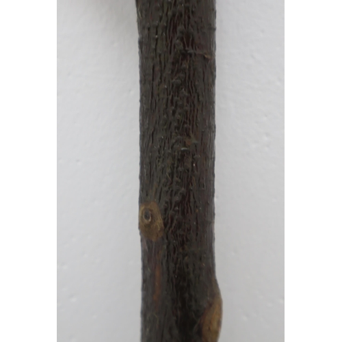 603 - Hand Made Natural Forest Wood Walking Stick wit a Hand Wound Loop Attached 44