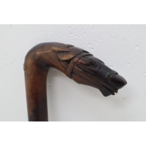 254A - Antique Hand Carved Fine Detailed Horse Head Handled Walking Stick 31