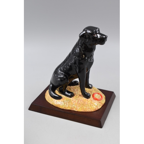 224 - Royal Doulton Black Labrador from the Gun Dog Collection Complete with Original Box