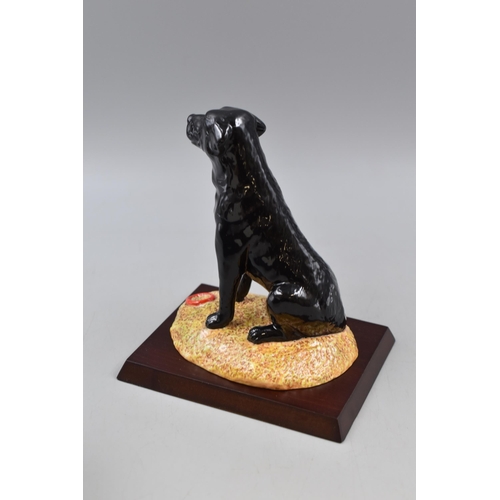 224 - Royal Doulton Black Labrador from the Gun Dog Collection Complete with Original Box