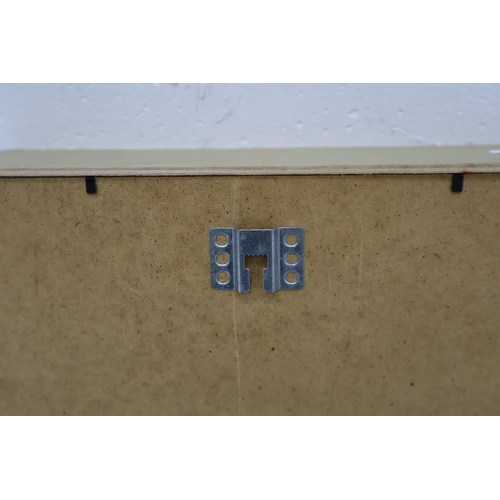 612 - Display Case with Sliding Glass Top and a Array of natural Sea Shells and a star fish approx 11