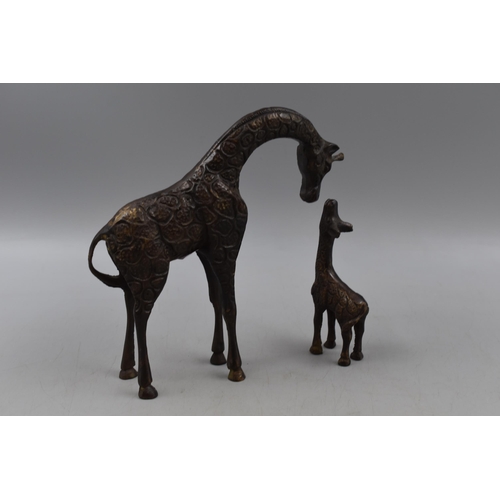 175 - Nice Brass Bronzed Effect Giraffe Statue with Baby Giraffe  8