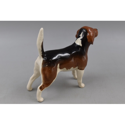 181 - Beswick Wendover Billy Beagle Dog Figure