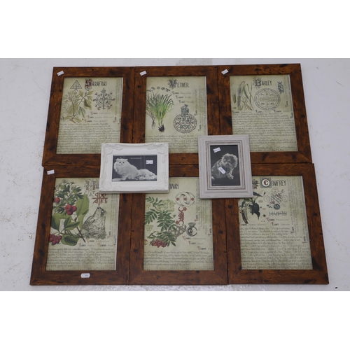 590 - A Selection of Eight Magic Themed Framed and Glazed Photos.