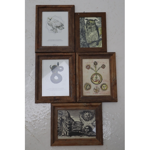 591 - A Selection of Eight Harry Potter and Magic Themed Framed and Glazed Pictures.