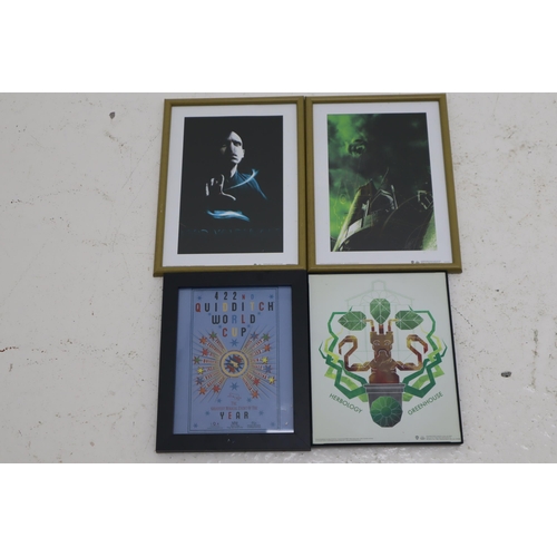 591 - A Selection of Eight Harry Potter and Magic Themed Framed and Glazed Pictures.