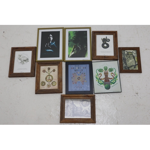 591 - A Selection of Eight Harry Potter and Magic Themed Framed and Glazed Pictures.