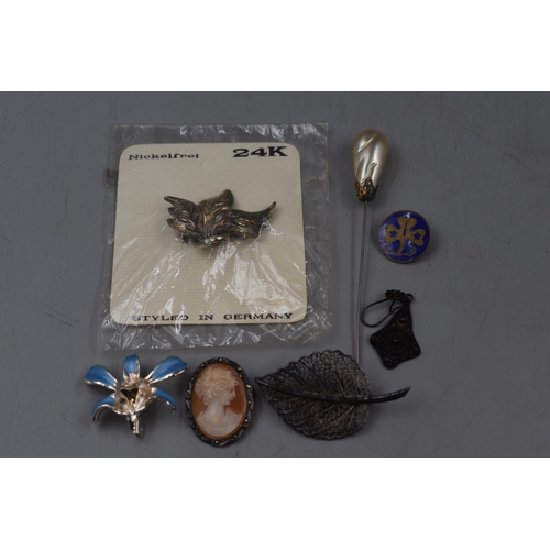 24 - A Selection Of Various Pins And Badges Including Nickelfrei Leaves Badge, Hand-Carved Cameo Brooch P... 