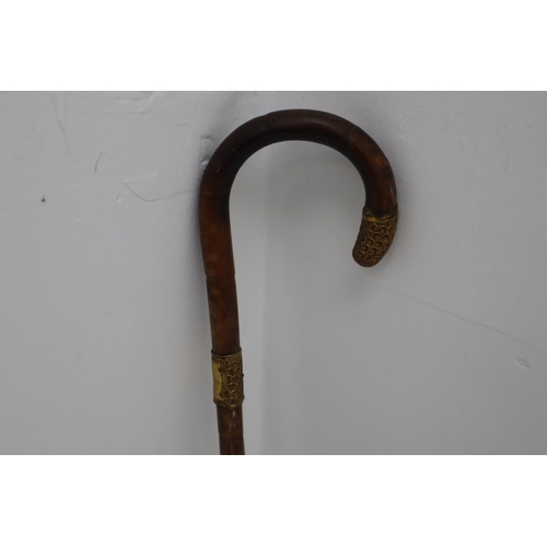 166 - Bamboo Walking Stick with Metal Banding and Tip