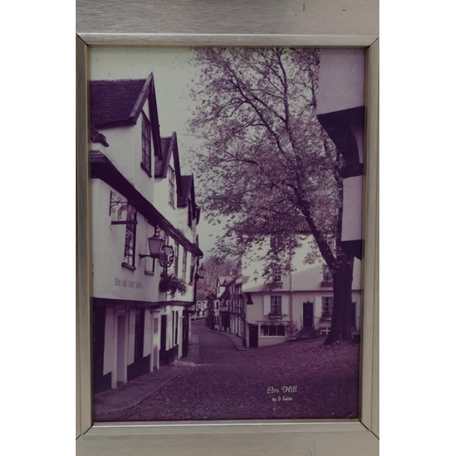 201 - Two D Galer Photographic Prints of the Elms and Elm Hill in Matching Framed Mounts