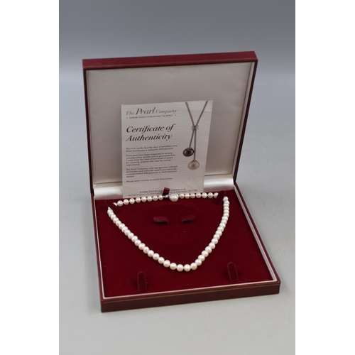 30 - Pearl Necklace With Ag 925 Sterling Silver Magnet From The Pearl Company Comes With Certificate