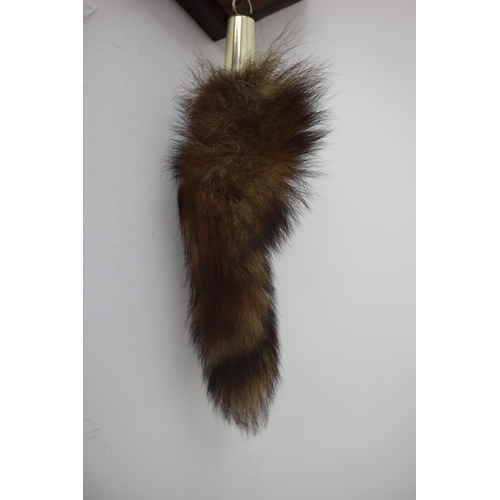 347 - A Wall Hanging Taxidermy Fox on Wooden Display Plaque, With Hanging Taxidermy Tail And Bullet. Plaqu... 