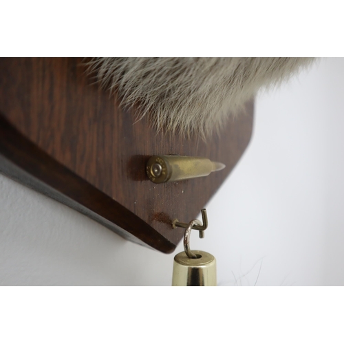 347 - A Wall Hanging Taxidermy Fox on Wooden Display Plaque, With Hanging Taxidermy Tail And Bullet. Plaqu... 