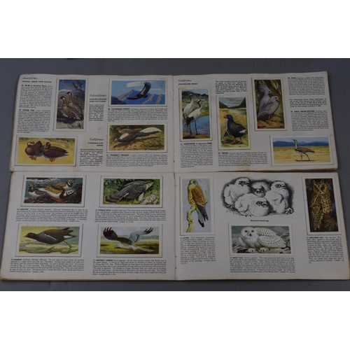 549 - Mixed Lot of Vintage Card Collection Booklets to include Brooke Bond Picture Cards, Shell Wildlife, ... 