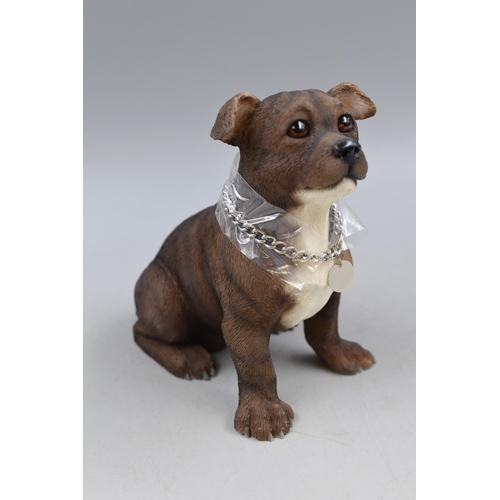 308 - Boxed Staffordshire Bull Terrier, In Sitting Position approx 6