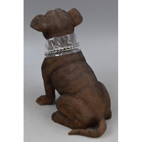 308 - Boxed Staffordshire Bull Terrier, In Sitting Position approx 6