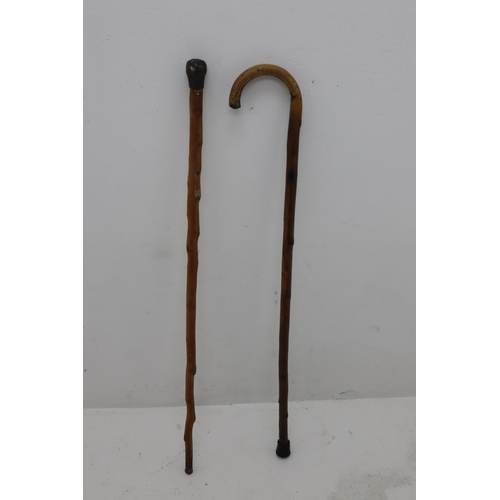 636 - Two Walking Sticks, 1 is Silver Topped