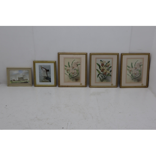 681 - Mixed Lot of Framed Pictures to include Royal Botanic Gardens Kew pictures and others