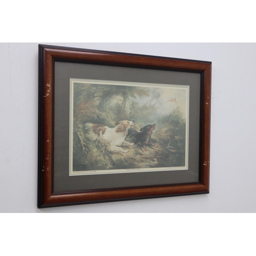 377 - A Selection of Six Classical Framed and Glazed Prints, Includes A Bay Hunter, Shooter's Resting, Spa... 